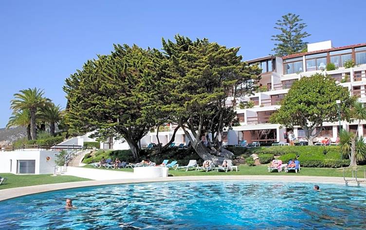 A pool with trees in the background

Description automatically generated